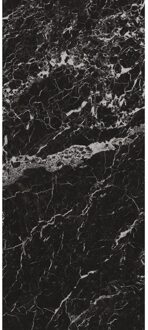 Wandtegel Black Hispania 120x278 cm Zwart Marmerlook Mat - Wandtegel Black Hispania 120x278 cm Zwart Marmerlook Mat (prijs Per Tegel)