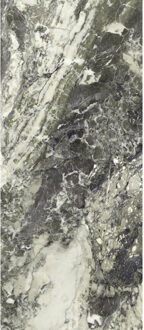 Wandtegel Breccia Viridi 120x278 cm Gepolijst Grijs Marmerlook - Wandtegel Breccia Viridi 120x278 cm Gepolijst Grijs Marmerlook (prijs Per
