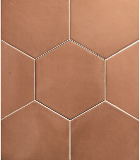 Wandtegel Clay Hexagon Salmon 17.5x20.2 cm Stardos