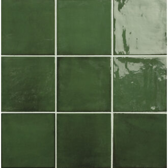 Wandtegel Fayenza Green 12.3x12.3 cm Stardos