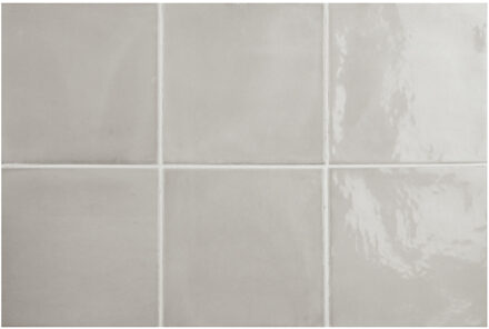 Wandtegel Fayenza Grey 12.3x12.3 cm Stardos