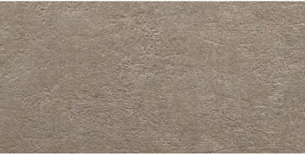 Wandtegel JOS. Light Stone 25x50 cm Mat Taupe Jos.