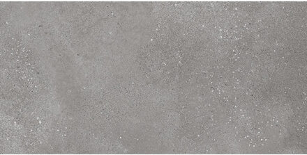 Wandtegel Rako Betonico 30x60 cm Grey Grijs Rako
