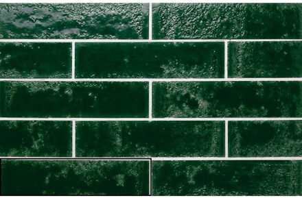 Wandtegel Stardos Pukka 6,4x26 cm Basil Green Stardos