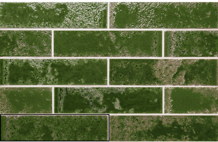 Wandtegel Stardos Pukka 6,4x26 cm Crocodile Green Stardos