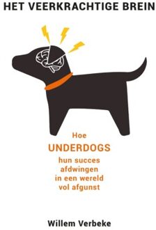 Wardy Poelstra Projectmanagement Het Veerkrachtige Brein - Willem Verbeke