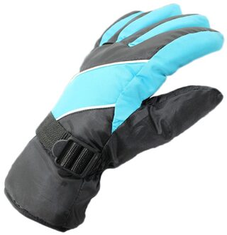 Warm Mannen Waterdicht Winddicht Outdoor Wanten Handschoenen Vijf Vingers Thermische Skiën Klimmen Fietsen Wandelen Sport blauw