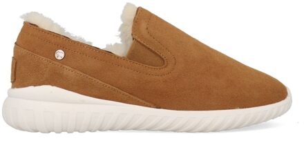 Warmbat Pantoffels Frankston FRK441025 Cognac Bruin maat