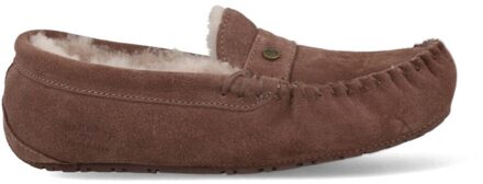 Warmbat Pantoffels Nowra NWR341064 Liver Bruin / Grijs maat