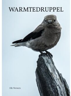 Warmtedruppel - Elle Werners