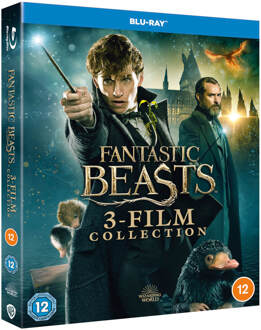 Warner Bros Fantastic Beasts 3 Film Collection