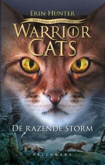 Warrior Cats - Een visioen van schaduwen: De razende storm -  Erin Hunter (ISBN: 9789463375603)