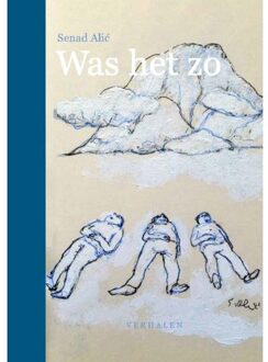 Was Het Zo - Senad Alic