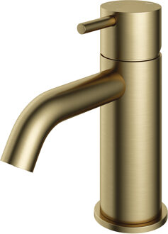 Wastafelmengkraan Hotbath Cobber 1-hendel Gebogen 14.3 cm Living Colours Geborsteld Messing Living Colours