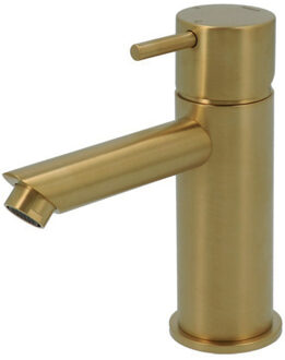 Wastafelmengkraan Hotbath Cobber 1-hendel Recht 14.3 cm Geborsteld Messing Living Colours