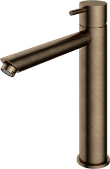 Wastafelmengkraan Hotbath Cobber 1-hendel Recht 28.6 cm Verouderd Messing Living Colours