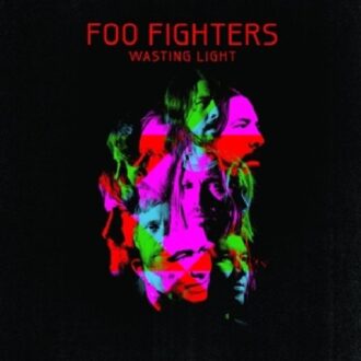 Wasting Light (LP)