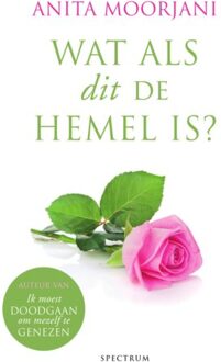Wat als dit de hemel is? - Boek Anita Moorjani (9000352266)