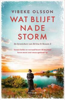 Wat blijft na de storm -  Vibeke Olsson (ISBN: 9789023963110)