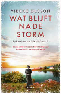 Wat blijft na de storm -  Vibeke Olsson (ISBN: 9789023963127)