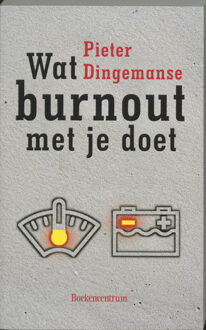 Wat burnout met je doet - Boek P. Dingemanse (9023913124)