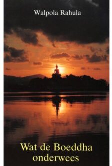 Wat de Boeddha onderwees - Boek W.S. Rahula (9063500483)