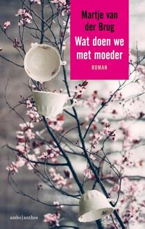 Wat doen we met moeder - Boek Martje van der Brug (9026338120)