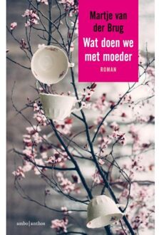Wat doen we met moeder - Boek Martje van der Brug (9026338120)