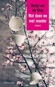 Wat doen we met moeder - eBook Martje van der Brug (9026333579)