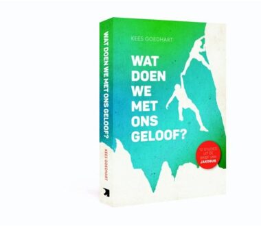 Wat doen we met ons geloof? - Boek Kees Goedhart (9079859982)