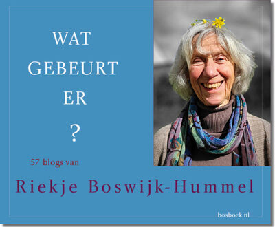 Wat gebeurt er? -  Riekje Boswijk-Hummel (ISBN: 9789090392288)