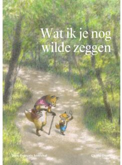 Wat Ik Je Nog Wilde Zeggen - Jean-François Sénéchal