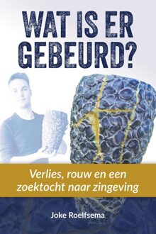 Wat is er gebeurd? - Joke Roelfsema - ebook