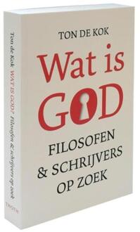 Wat is God - Boek Ton de Kok (906868633X)
