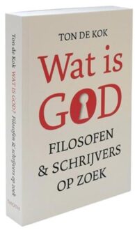 Wat is God - Boek Ton de Kok (906868633X)