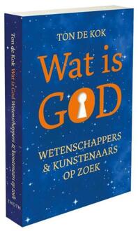 Wat is God ? - Boek Ton de Kok (9068687298)