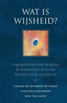 Wat is wijsheid? - (ISBN:9789493161344)