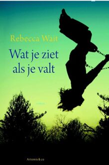 Wat je ziet als je valt - eBook Rebecca Wait (9047204468)