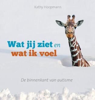 Wat jij ziet en wat ik voel - Boek Kathy Hoopmann (9077671846)