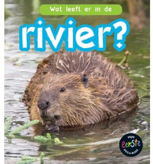Wat leeft er in de rivier? - Boek John-Paul Wilkins (9461754019)