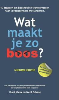 Wat maakt je zo boos? - Boek Shari Klein (9081674544)