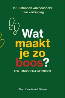 Wat maakt je zo boos? -  Neill Gibson, Shari Klein (ISBN: 9789083397078)