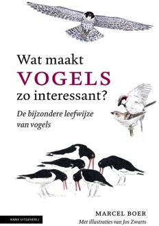 Wat maakt vogels zo interessant