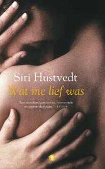 Wat me lief was - Boek Siri Hustvedt (9023497988)