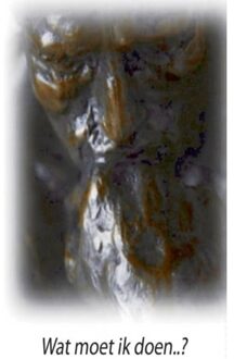 Wat moet ik doen? - Boek Mijnbestseller B.V. (9461938403)