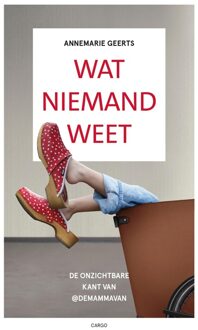Wat niemand weet - Annemarie Geerts - ebook