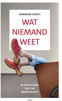 Wat Niemand Weet - Annemarie Geerts