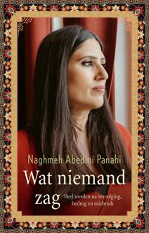 Wat niemand zag - Naghmeh Abedini Panahi - ebook