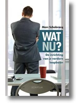 Wat nu? - eBook Marc Schabracq (9055948756)