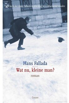 Wat nu, kleine man? - Boek Hans Fallada (9059364945)